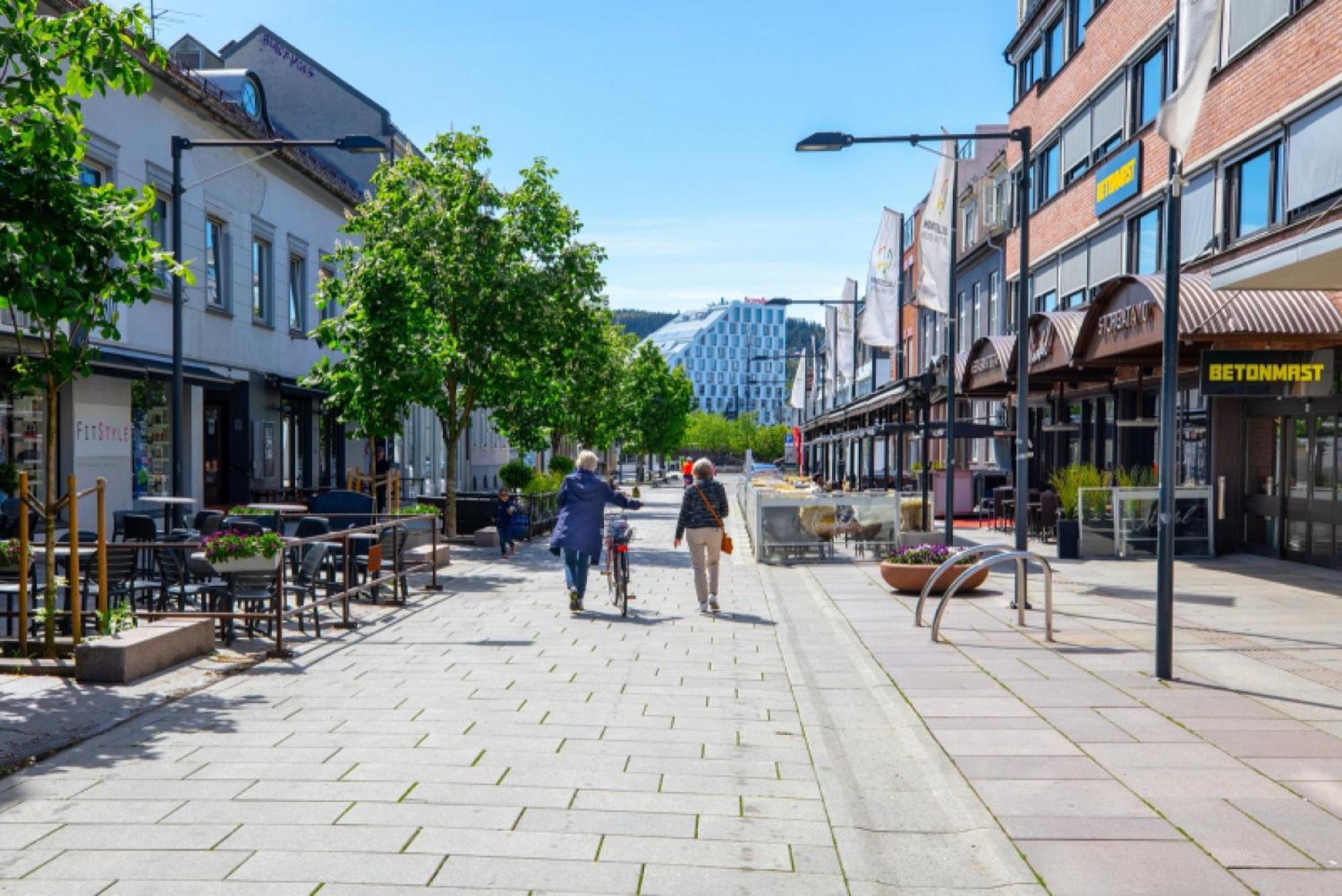 Km Rentals - Lillestrom City Eksteriør bilde